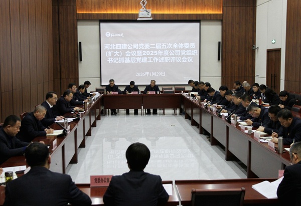 公司党委召开二届五次全体委员（扩大）会议暨2025年度公司党组织书记抓基层党建工作述职评议会议